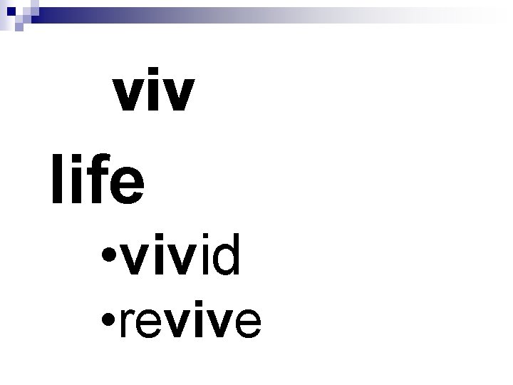 viv life • vivid • revive 