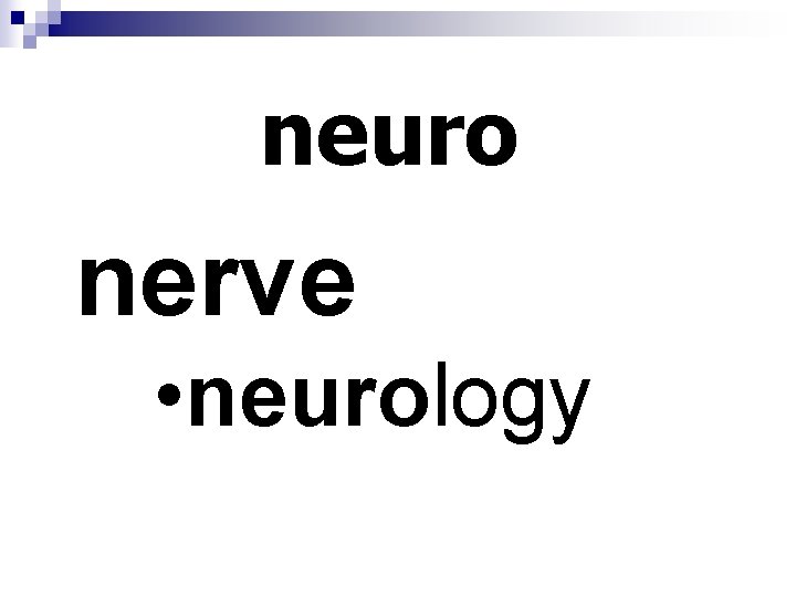 neuro nerve • neurology 