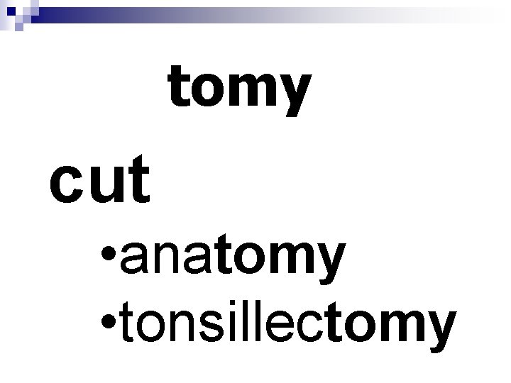 tomy cut • anatomy • tonsillectomy 