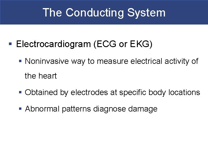 The Conducting System § Electrocardiogram (ECG or EKG) § Noninvasive way to measure electrical