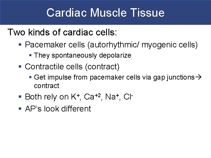 Cardiac Muscle Tissue Two kinds of cardiac cells: § Pacemaker cells (autorhythmic/ myogenic cells)