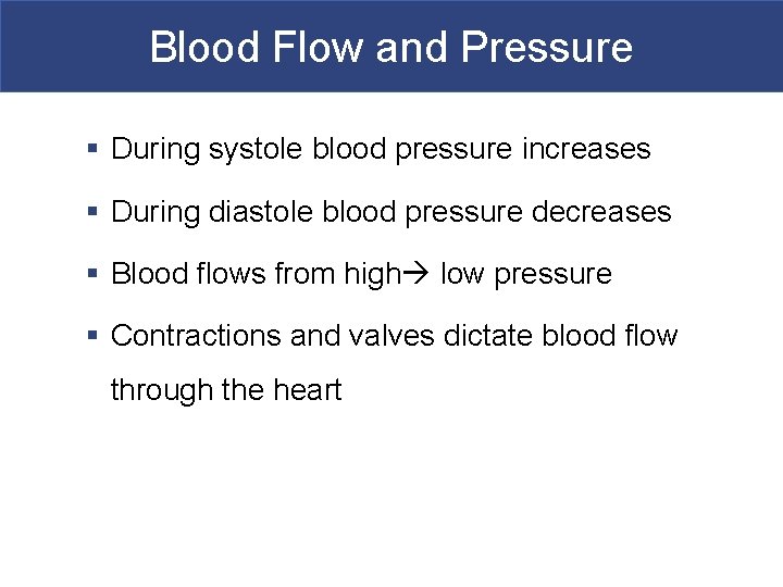 Blood Flow and Pressure § During systole blood pressure increases § During diastole blood