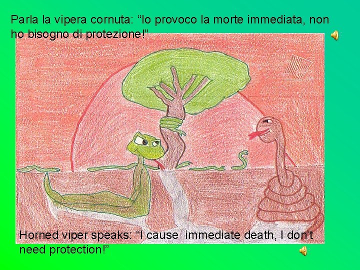 Parla la vipera cornuta: “Io provoco la morte immediata, non ho bisogno di protezione!”