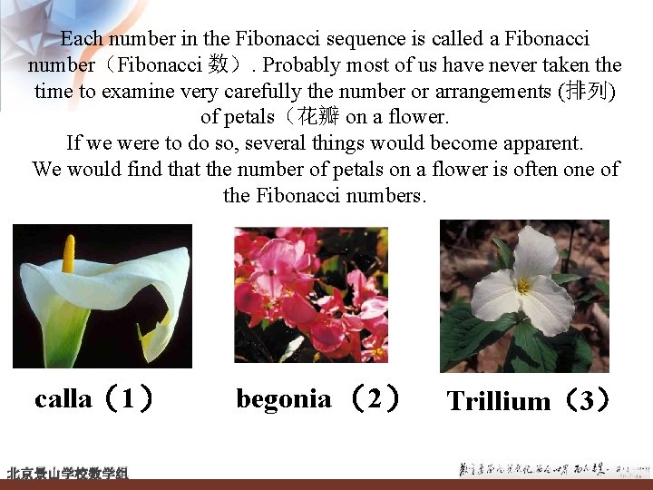 Each number in the Fibonacci sequence is called a Fibonacci number（Fibonacci 数）. Probably most