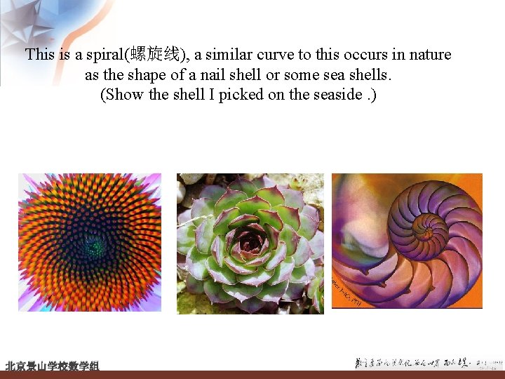 This is a spiral(螺旋线), a similar curve to this occurs in nature as the