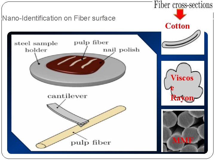 Nano-Identification on Fiber surface Cotton Viscos e Rayon MMF 