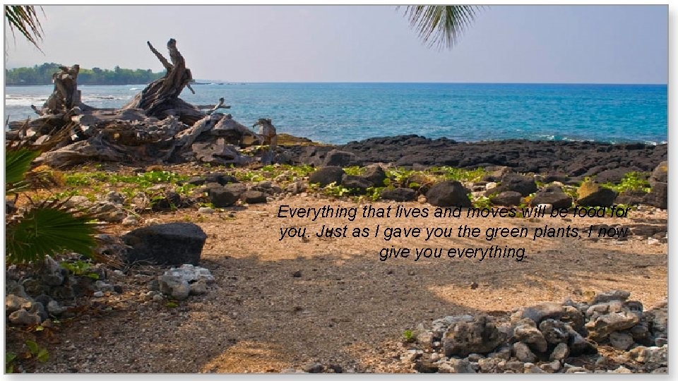 Everything that lives and moves will be food for you. Just as I gave