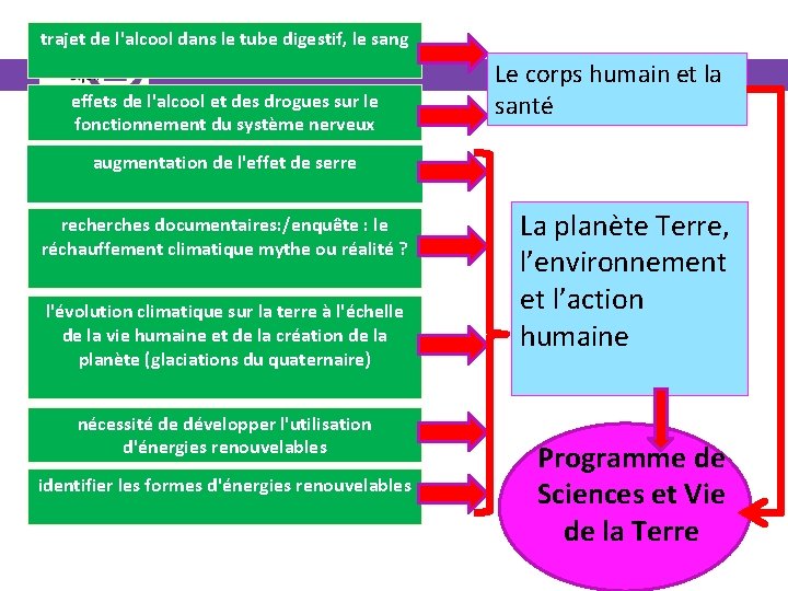 trajet de l'alcool dans le tube digestif, le sang effets de l'alcool et des