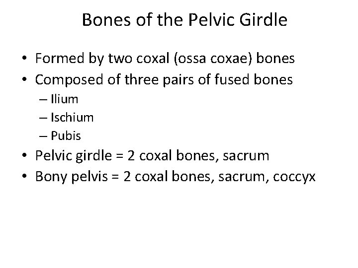 Bones of the Pelvic Girdle • Formed by two coxal (ossa coxae) bones •