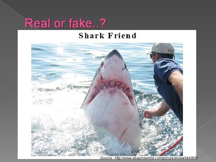 Real or fake. . ? Source - http: //www. ebaumsworld. com/pictures/view/646806/ 