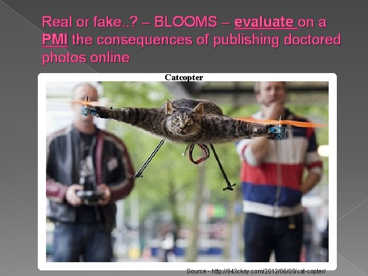 Real or fake. . ? – BLOOMS – evaluate on a PMI the consequences