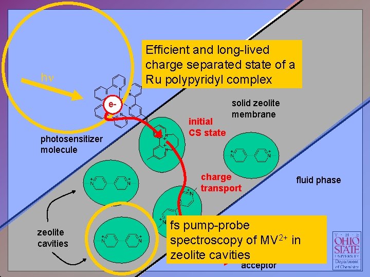 Efficient fluid phaseand long-lived charge separated state of a 2+ polypyridyl complex Ru hn