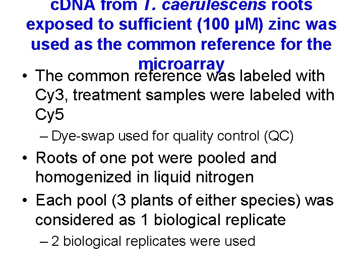 c. DNA from T. caerulescens roots exposed to sufficient (100 µM) zinc was used