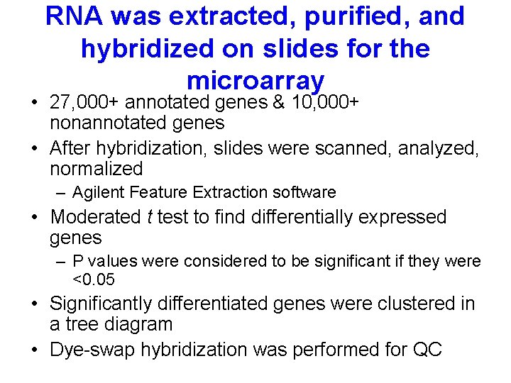 RNA was extracted, purified, and hybridized on slides for the microarray • 27, 000+
