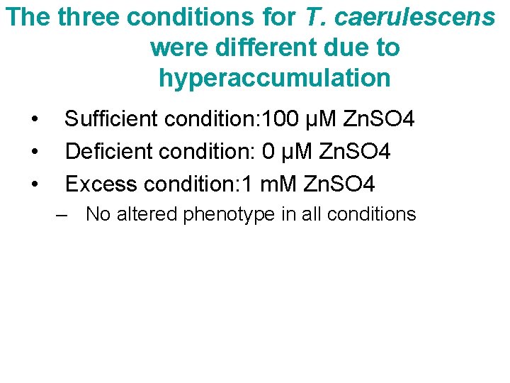 The three conditions for T. caerulescens were different due to hyperaccumulation • • •