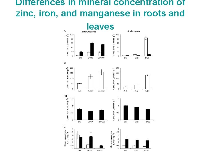 Differences in mineral concentration of zinc, iron, and manganese in roots and leaves 