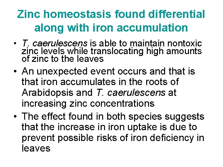 Zinc homeostasis found differential along with iron accumulation • T. caerulescens is able to