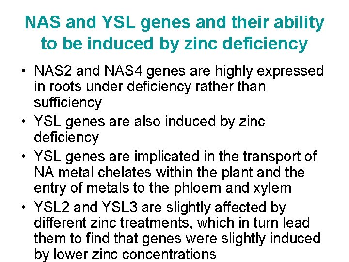 NAS and YSL genes and their ability to be induced by zinc deficiency •