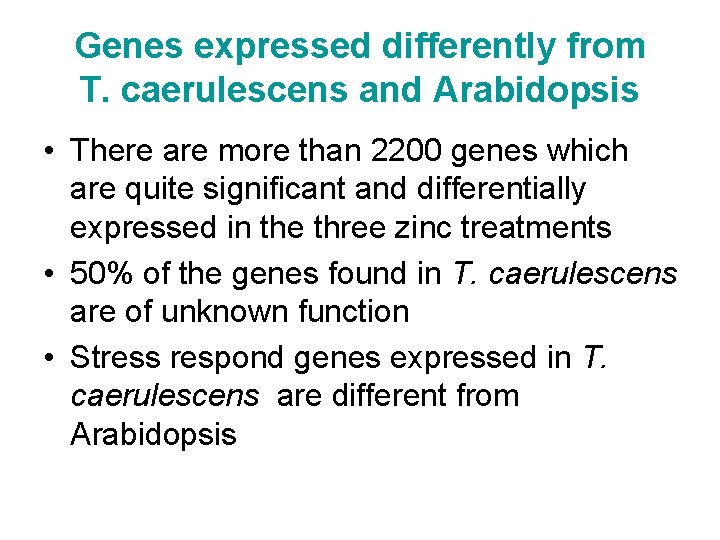 Genes expressed differently from T. caerulescens and Arabidopsis • There are more than 2200