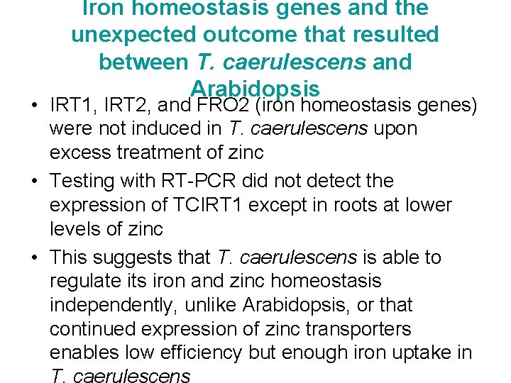 Iron homeostasis genes and the unexpected outcome that resulted between T. caerulescens and Arabidopsis