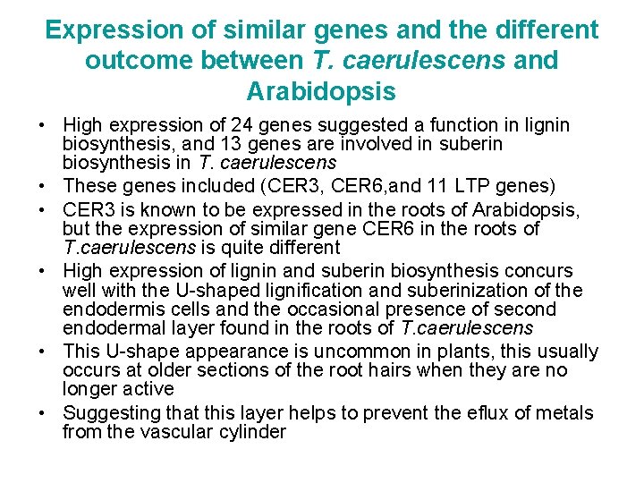 Expression of similar genes and the different outcome between T. caerulescens and Arabidopsis •
