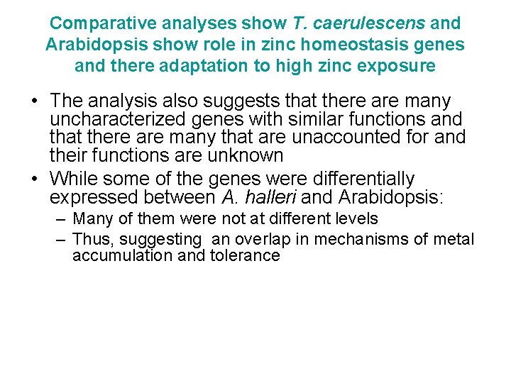 Comparative analyses show T. caerulescens and Arabidopsis show role in zinc homeostasis genes and