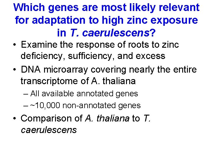 Which genes are most likely relevant for adaptation to high zinc exposure in T.