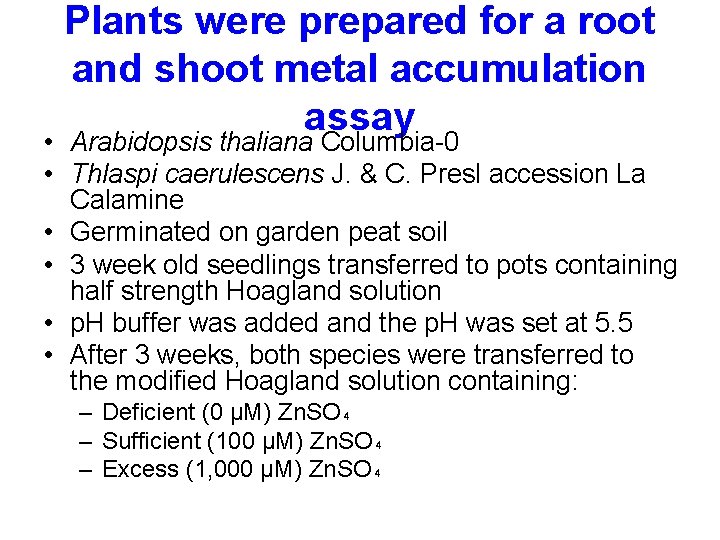 Plants were prepared for a root and shoot metal accumulation assay • Arabidopsis thaliana
