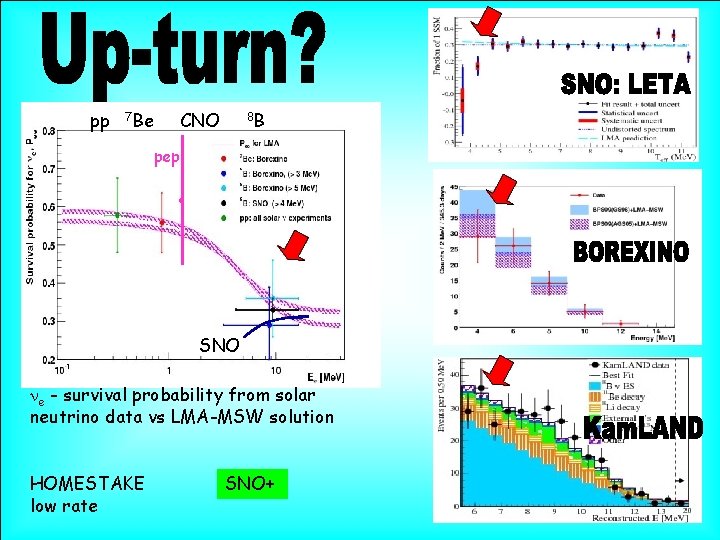 pp 7 Be CNO 8 B pep . SNO ne - survival probability from pp 7 Be CNO 8 B pep . SNO ne - survival probability from