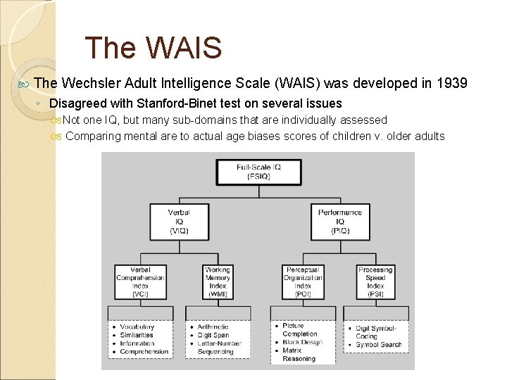 The WAIS The Wechsler Adult Intelligence Scale (WAIS) was developed in 1939 ◦ Disagreed