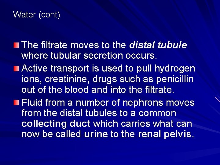 Water (cont) The filtrate moves to the distal tubule where tubular secretion occurs. Active