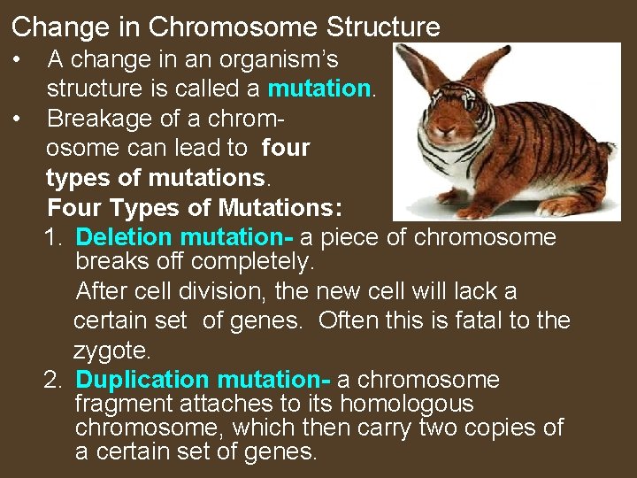 Change in Chromosome Structure • A change in an organism’s structure is called a