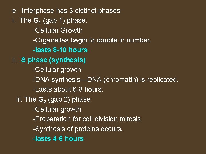 e. Interphase has 3 distinct phases: i. The G 1 (gap 1) phase: -Cellular