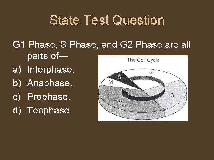 State Test Question G 1 Phase, S Phase, and G 2 Phase are all