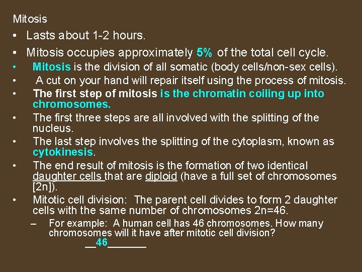 Mitosis • Lasts about 1 -2 hours. • Mitosis occupies approximately 5% of the