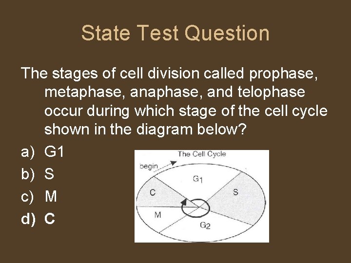 State Test Question The stages of cell division called prophase, metaphase, and telophase occur