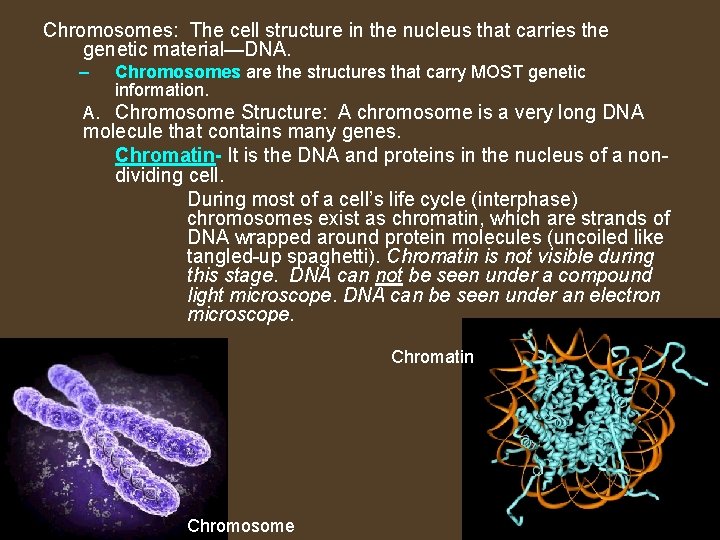 Chromosomes: The cell structure in the nucleus that carries the genetic material—DNA. – Chromosomes