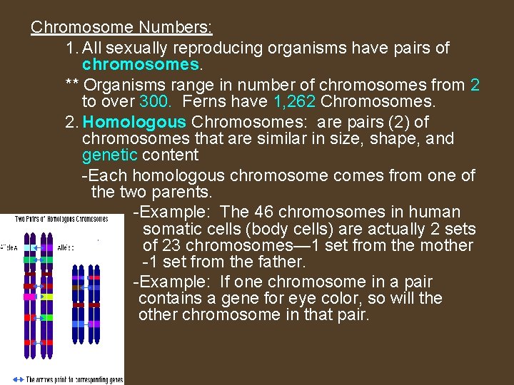 Chromosome Numbers: 1. All sexually reproducing organisms have pairs of chromosomes. ** Organisms range