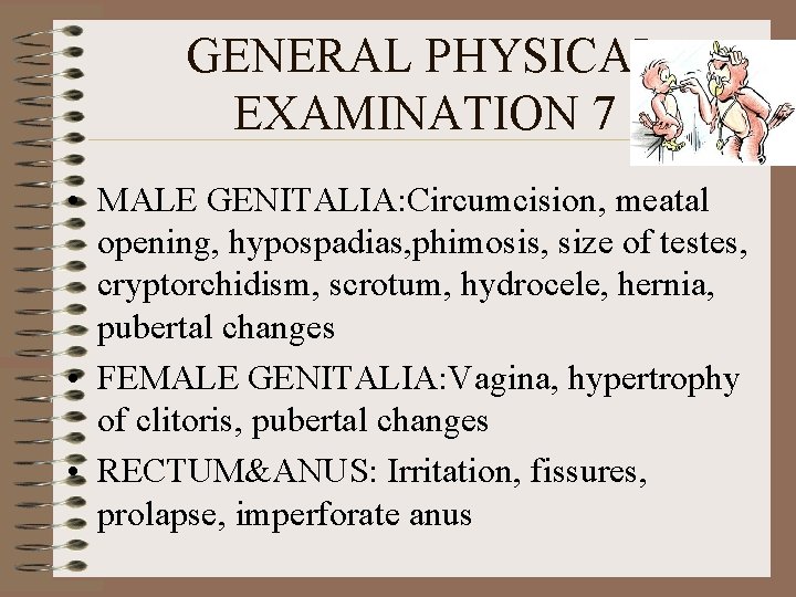 GENERAL PHYSICAL EXAMINATION 7 • MALE GENITALIA: Circumcision, meatal opening, hypospadias, phimosis, size of