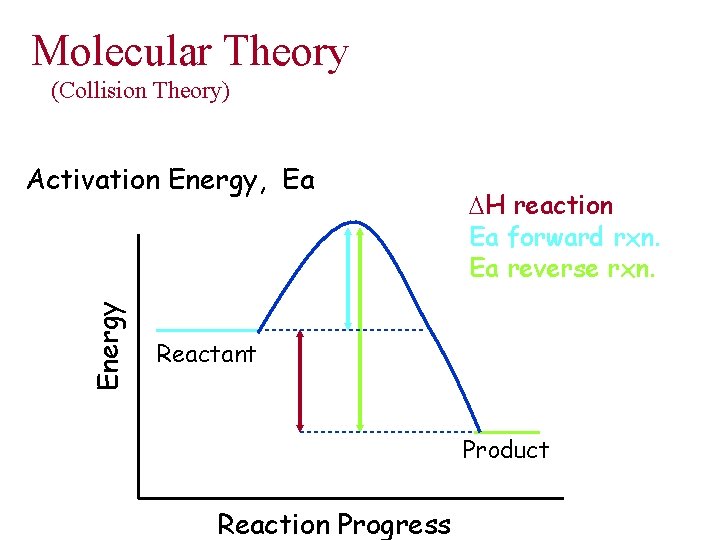 Molecular Theory (Collision Theory) Energy Activation Energy, Ea DH reaction Ea forward rxn. Ea