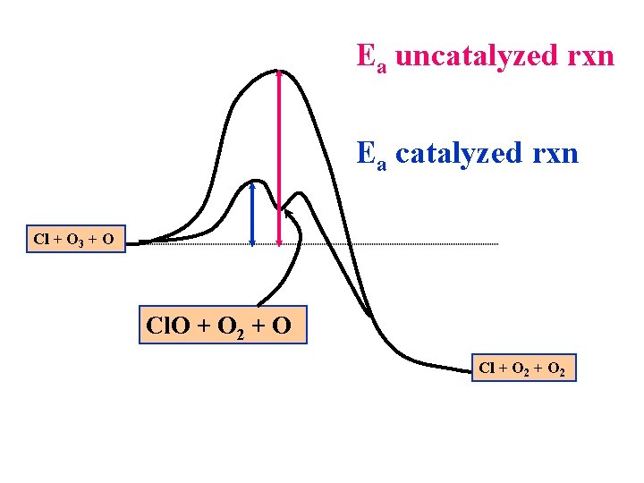 Ea uncatalyzed rxn Ea catalyzed rxn Cl + O 3 + O Cl. O