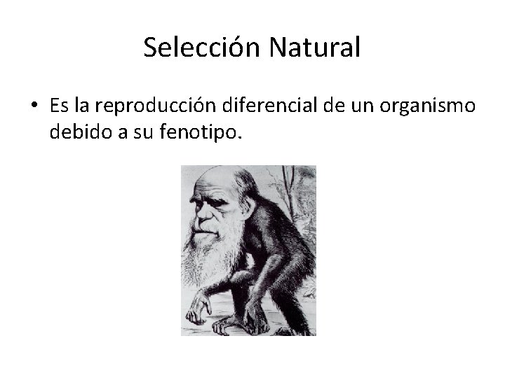 Selección Natural • Es la reproducción diferencial de un organismo debido a su fenotipo.