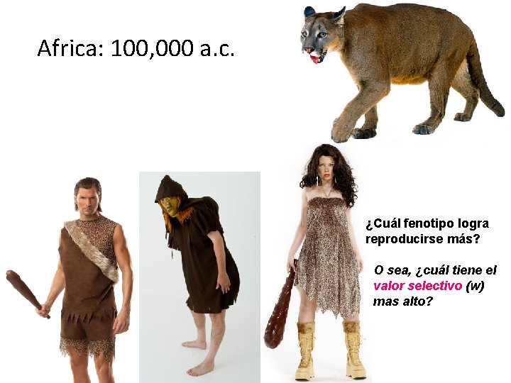 Africa: 100, 000 a. c. ¿Cuál fenotipo logra reproducirse más? O sea, ¿cuál tiene