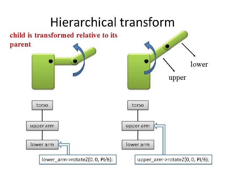 child is transformed relative to its parent lower upper 71 