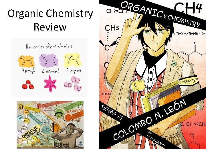 Organic Chemistry Review 