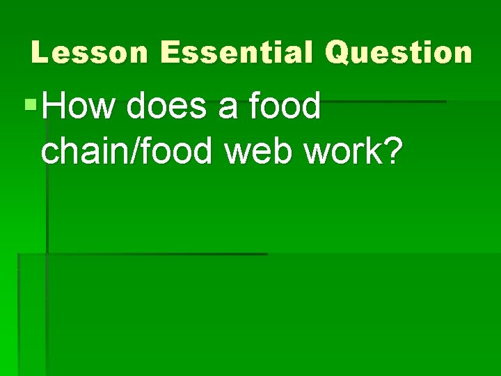 Lesson Essential Question § How does a food chain/food web work? 