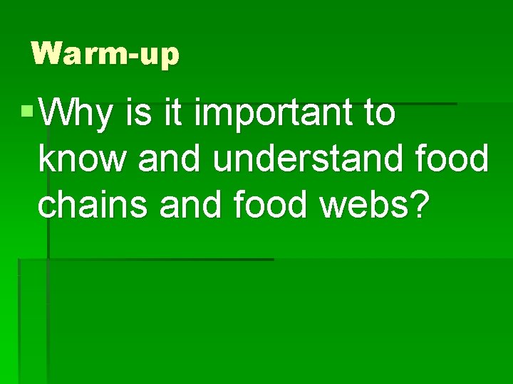 Warm-up § Why is it important to know and understand food chains and food