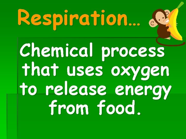 Respiration… Chemical process that uses oxygen to release energy from food. 