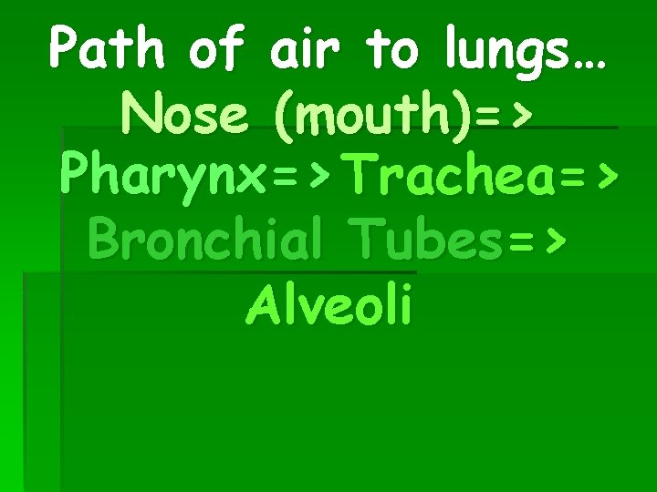 Path of air to lungs… Nose (mouth)=> Pharynx=> Trachea=> Bronchial Tubes=> Alveoli 