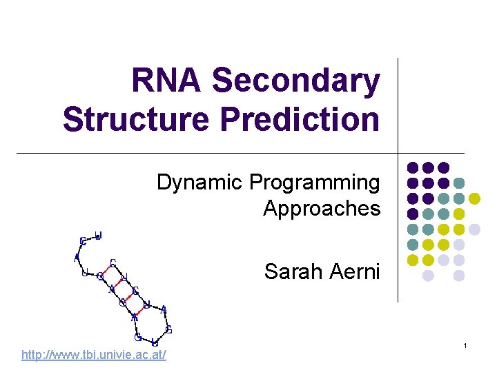 RNA Secondary Structure Prediction Dynamic Programming Approaches Sarah Aerni http: //www. tbi. univie. ac.